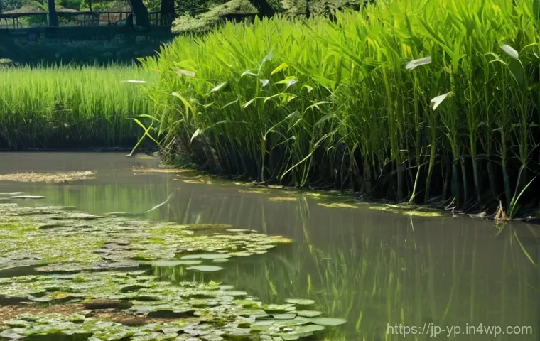 하천 생태계 복원 프로젝트의 관리 및 평가 - **"Rivers of Memory and Hope"**
    Generate an image depicting a poignant contrast between past and...