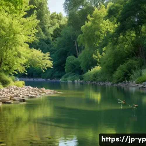 하천 생태계 복원과 지역 생물 다양성 보존 - A serene river scene showcasing a gently meandering waterway restored to its natural curved shape, w...