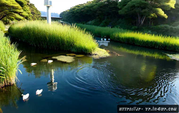 하천 생태계 복원과 기술 혁신의 역할 - Photorealistic restored urban river in Japan at early morning, clear flowing water through natural s...